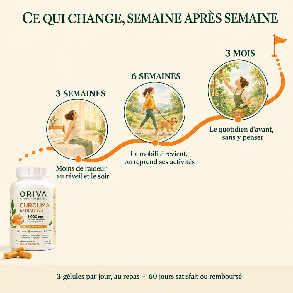 Curcuma extrait