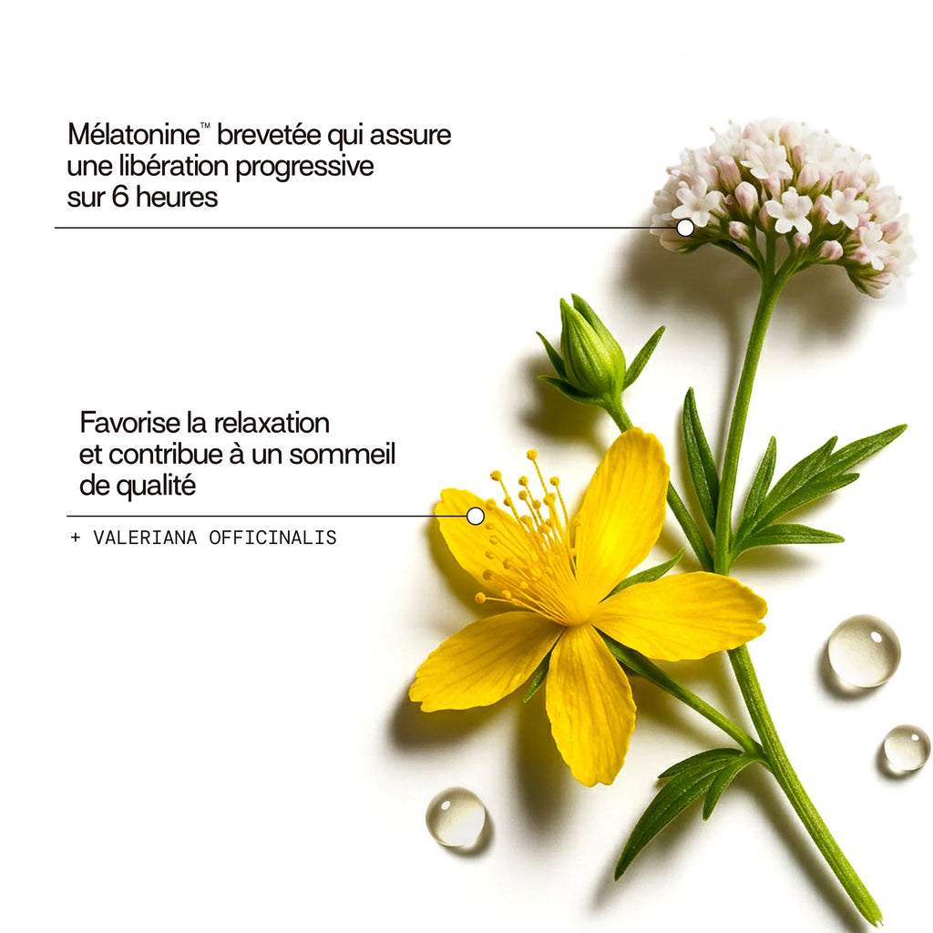 Gummies Sommeil libération prolongée