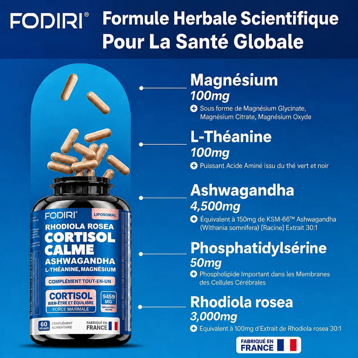 Ashwagandha KSM-66, Rhodiola & L-Théanine